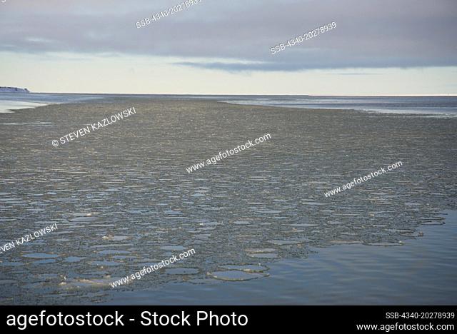 Pancake ice developing along the coast during fall freeze up, Beaufort Sea, along the arctic coast of Alaska