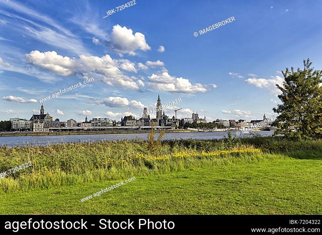 View of Antwerp from the riverbank, River Scheldt, Antwerp, Flanders, Belgium, Europe