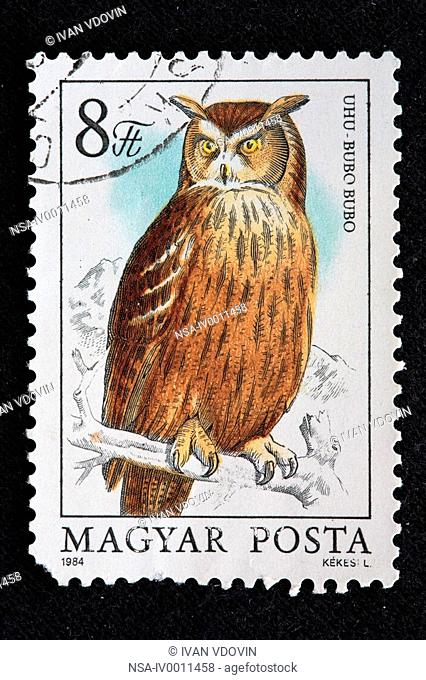 Eurasian Eagle Owl Bubo bubo, postage stamp, Hungary, 1984