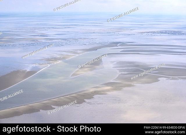 09 June 2022, Lower Saxony, Nordsee: A tidal flat in the mudflats near the mouth of the Elbe River in the Hamburg Wadden Sea National Park