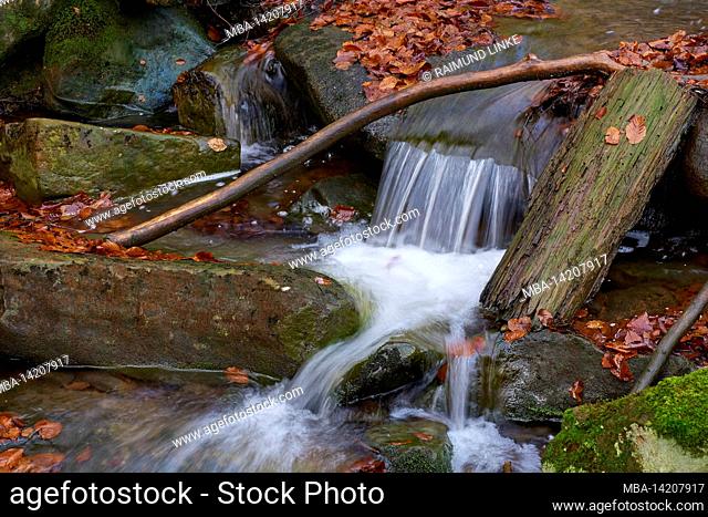 Forest, stream, water, stones, moss, leaves, autumn, Breitenbach, Kirchzell, Odenwald, Bavaria, Germany