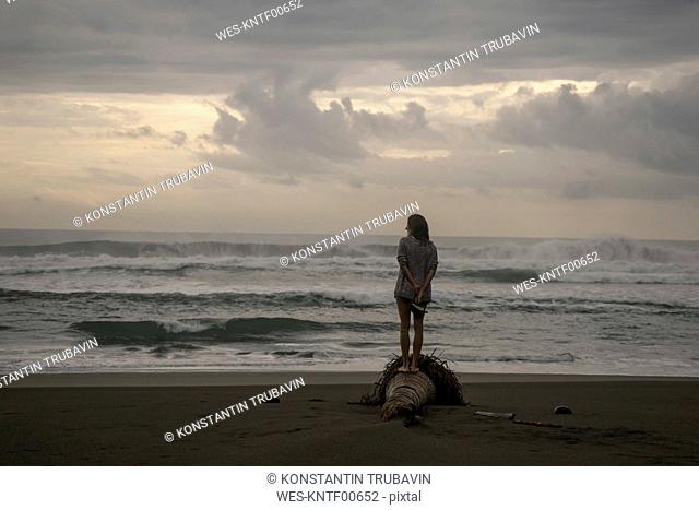 Indonesia, Java, back view of woman standing on the beach at evening twilight