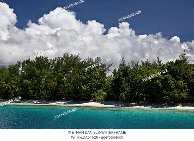 Beach and Lagoon, Florida Islands, Solomon Islands