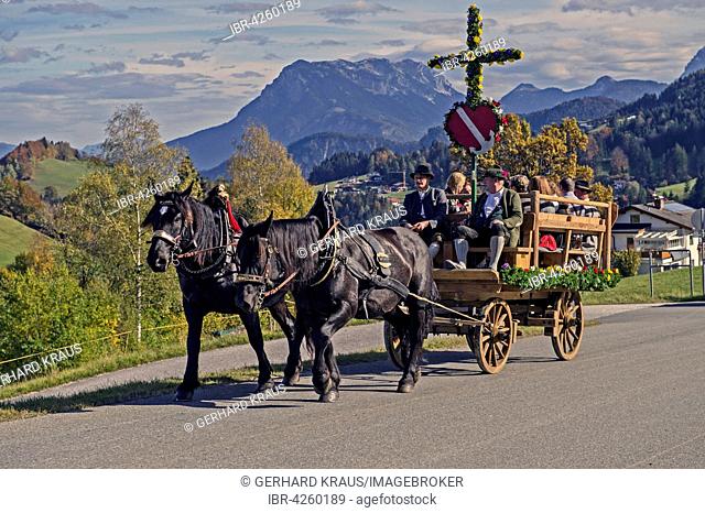 Leonhardiritt, carriage with cross, in Hinterthiersee, Zahmer Kaiser behind, Tyrol, Austria