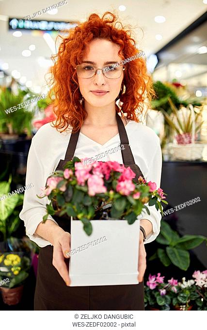 Portrait of florist holding potted plant in flower shop