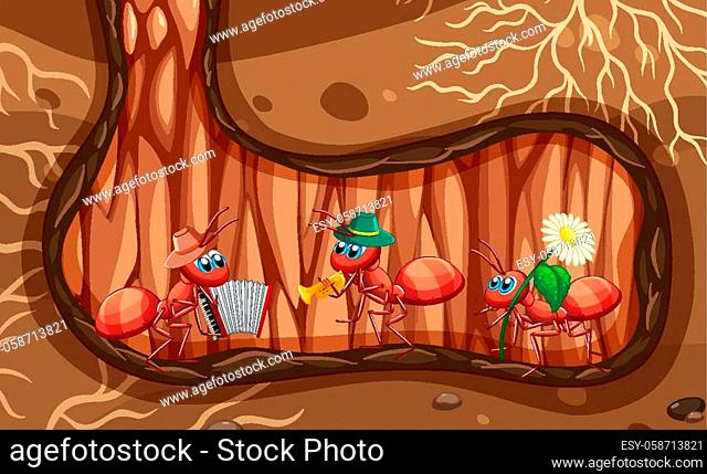 Ant colony living in Stock Photos and Images | agefotostock