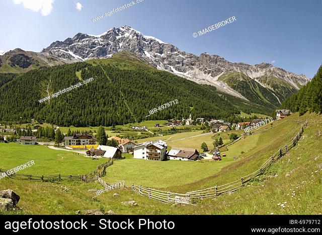 Mountain meadow with fence, mountain village Sulden, Solda, behind Ortler massif, district of the municipality Stilfs, Suldental, Ortler Alps, Ortles, Vinschgau