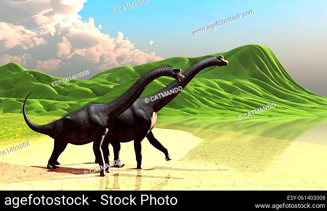 Rolling green hills end at a lakeshore as herbivorous sauropod Brachiosaurus dinosaurs come to the beach during the Jurassic Period