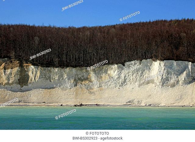 view from the sea at the steep coast with the famous chalk cliffs and some promenaders on the narrow beach below, Germany, Mecklenburg-Western Pomerania