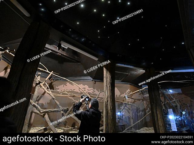 The repaired bat pavilion with a starry sky, 21 February 2023, zoo at Svaty Kopecek near Olomouc. The pavilion is home mainly to callous bats and the sky shows...