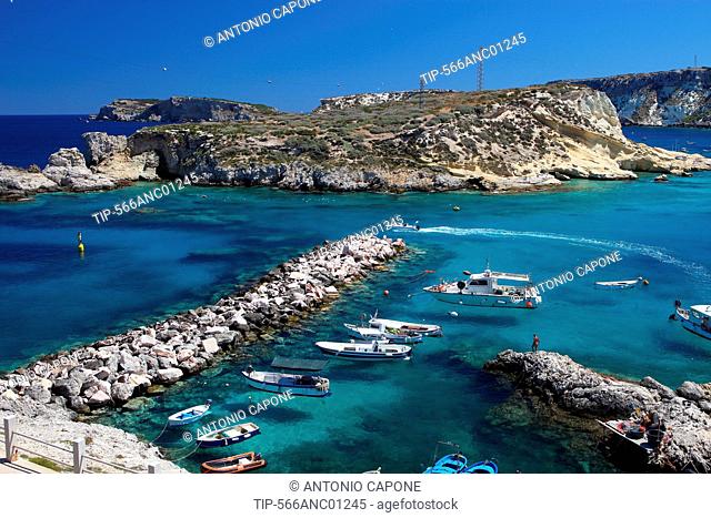 Italy, Apulia, Tremiti Island, San Domino, harbour