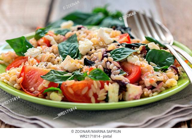 Orzo pasta with basil, tomatoes and cheese