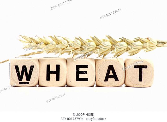 wheat in dice