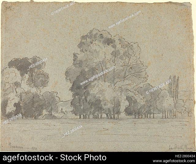 Grove of Trees, 1859. Creator: Camille Pissarro