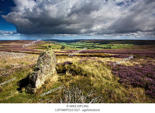 England, North Yorkshire, Glaisdale. Standing Stone on Glaisdale Rigg above the Dale in the North York Moors National Park