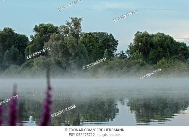Bruchsee, Lake and fog