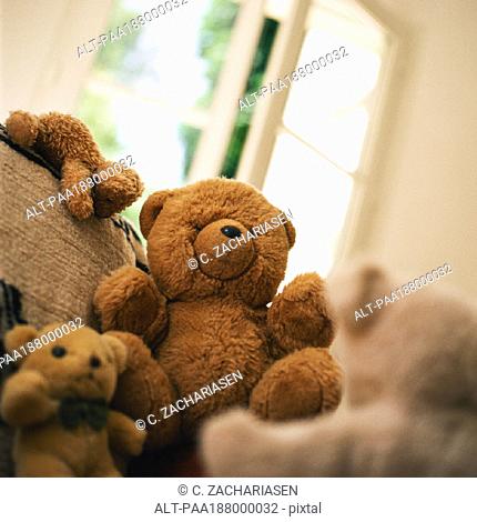 Group of teddy bears sitting near window