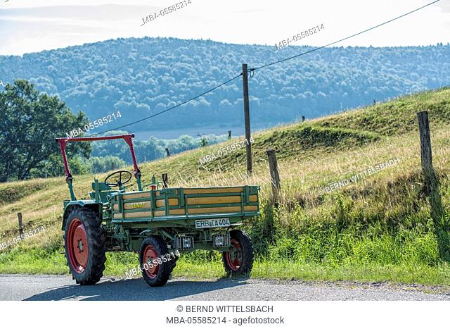 Breuberg, Hesse, Germany, Fendt, Dieselross F 231 GTS, year of manufacture 1971, 32 HP, cubic capacity 2218 cubic centimetres