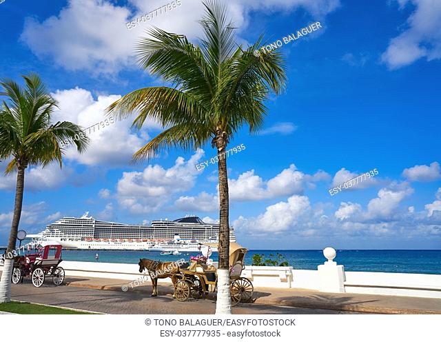 Cozumel island horse carriage and cruise in Riviera Maya of Mexico