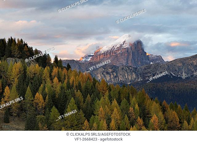 Tofana di Rozes from Laste Alm, Dolomites, Rocca Pietore, Belluno, Veneto, Italy