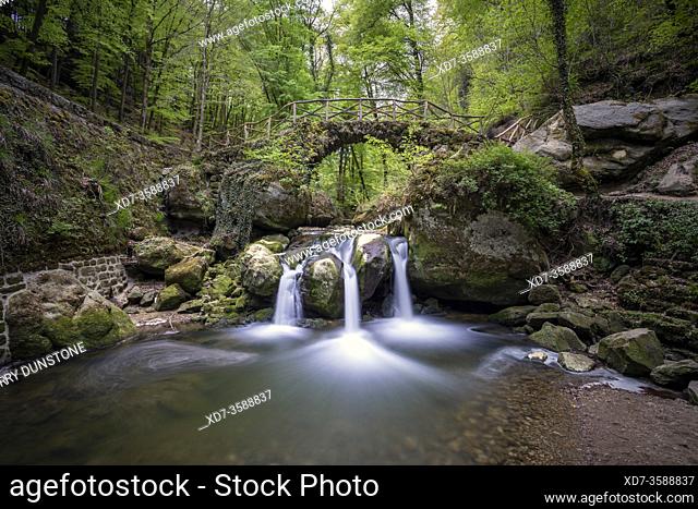 Europe, Luxembourg, Grevenmacher, Mullerthal Trail, Schiessentumpel Waterfall