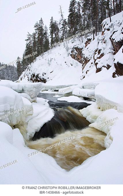 Kiutakoengaes rapids on Oulankajoki river near the Karhunkierros or Bear's Ring trail, Oulanka National Park, Finland, Europe