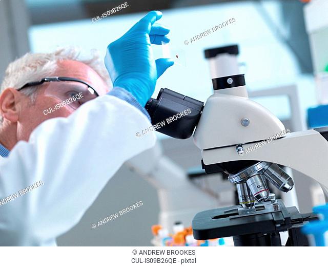 Scientist preparing a sample slide containing a human blood specimen to view under a microscope in laboratory for medical testing