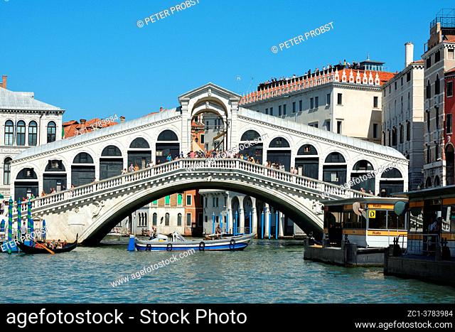 Rialto Bridge at the Grand Canal of Venice - Italy.