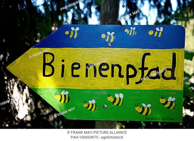 A bee trail where visitors get informations about bees and what they do, Germany, city of Wieda, 25.July 2018. Photo: Frank May | usage worldwide