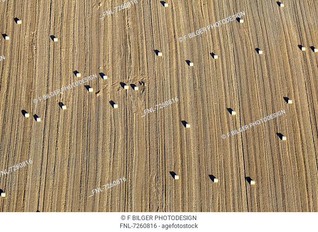 Field with bales of straw, Messkirch, Oberschwaben, Baden-Wuerttemberg, Germany, Europe