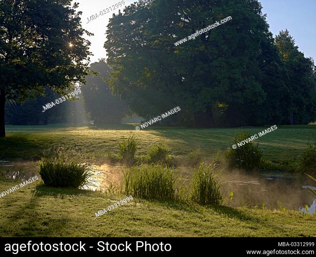 Morning light in the Pcklerpark Bad Muskau, Upper Lusatia, Saxony, Germany