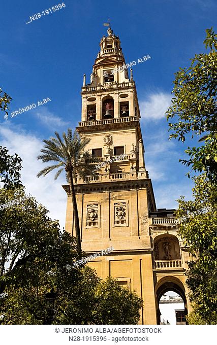 Alminar Mezquita cathedral Cordoba Andalusia Spain