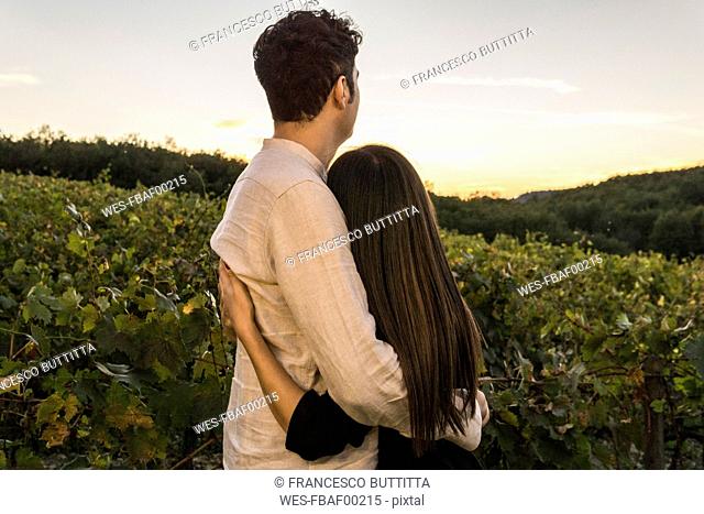 Italy, Tuscany, Siena, young couple embracing in a vineyard at sunset