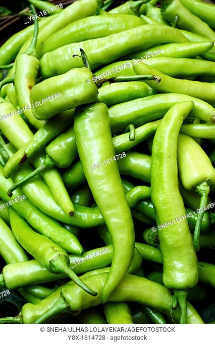 Many green chili peppers, Food raw material, Poona, Maharashtra, India
