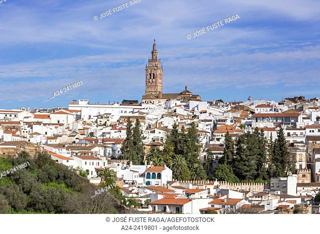 Spain , Extremadura Region , Jerez de los Caballeros City, San Miguel Church belry