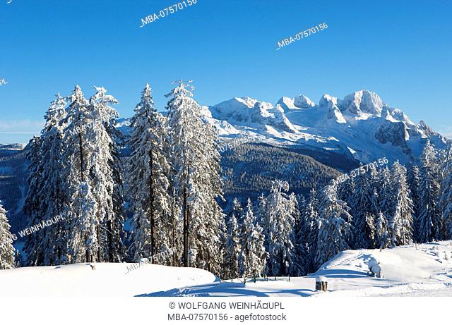 Winter landscape, Gosaualm area, view of Dachstein Massif, Salzkammergut region, Upper Austria, Austria