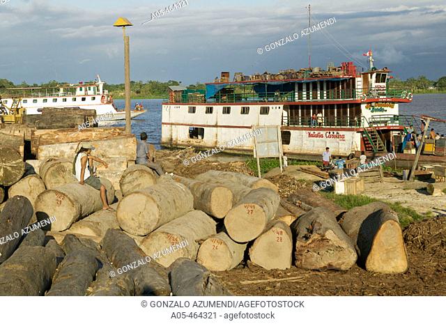 Cut trees, prepared for the transport in Amazon. Ships at the back. Deforestation. Iquitos. Peru