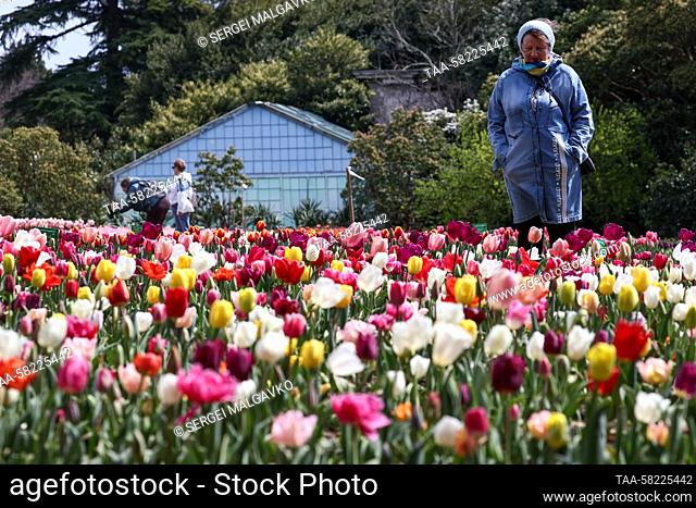 RUSSIA, YALTA - APRIL 4, 2023: People visit the annual Tulip Parade exhibition at the Nikitsky Botanical Garden. Sergei Malgavko/TASS