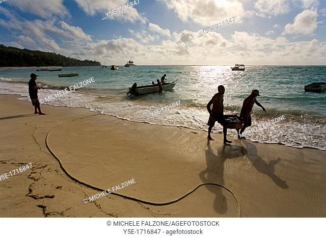 Fishermen bringing the catch on Anse Royale - Mahe' Island - Seychelles