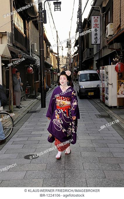 Maiko, Geisha apprentice, in a traditional street in the Gion district, Kyoto, Japan, Asia