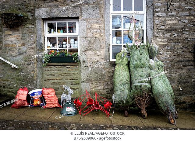Three christmas trees and several objects, leaning outside of a Hardware shop window. Grassington, Upper Wharfedale, North Yorkshire, Yorshire Dales, Skipton