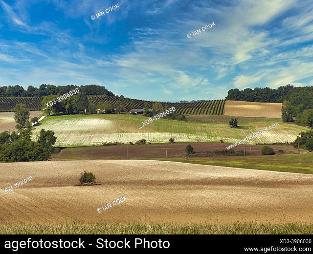 farm land after the harvest, and vineyards near Sadillac, Dordogne Department, Nouvelle Aquitaine, France