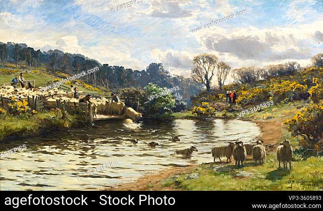 Farquharson David - Sheep Plunging - British School - 19th Century
