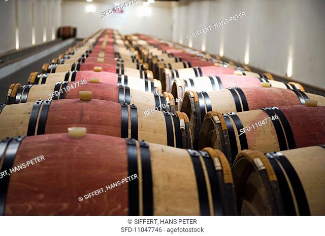Two rows of barrique wooden barrels in a wine cellar France