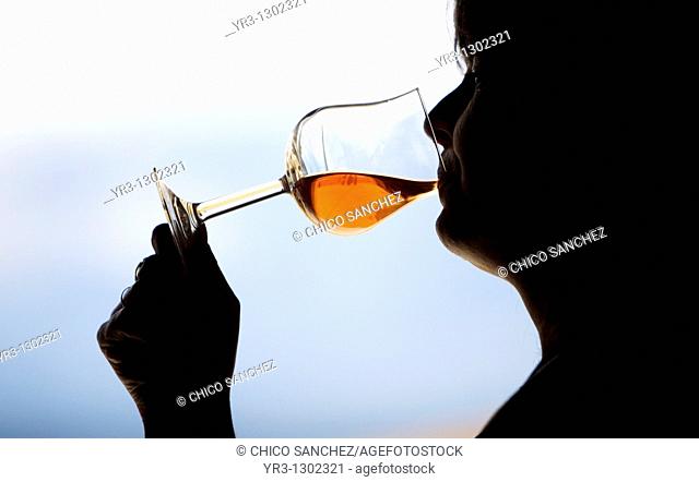 A woman drinks in a glass of red wine in Taramilla winery in Prado del Rey, Cadiz province, Andalusia, Spain, April 25, 2010