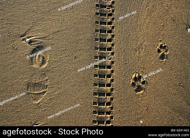 Three different tracks in the sand on Keramoti beach, Greece, Europe