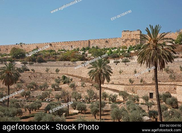 Terraces of the Kidron Valley and the the wall of the Old City in Jerusalem in Israel