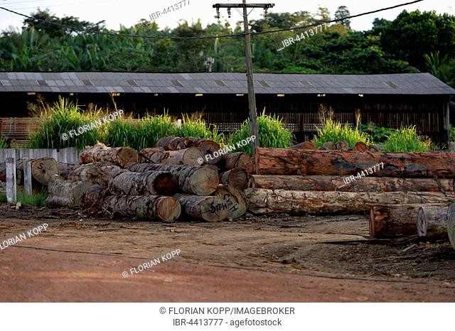 Sawmill, illegal logging, Amazon rainforest, Trairão, Trairão District, Pará, Brazil