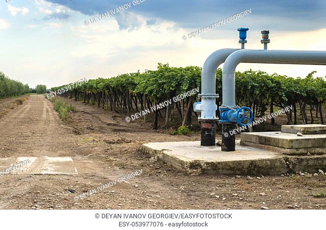 Watering pipes and vineyard. Big irrigation systems
