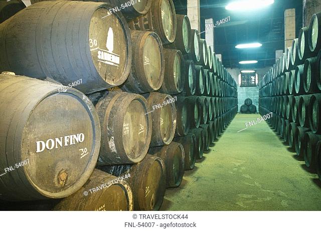 Barrels of wine inside wine cellar, Jerez De La Frontera, Andalusia, Spain